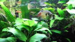 Video Picon von ehemaliger User (qYrr7luAr_4)