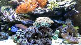 Video Video von Einrichtungsbeispiele.de von Markus.T (qlXqdIzp6f4)