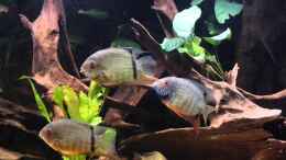 Video Video von einrichtungsbeispiele.de von Blackwater (quMzB4Mt_Ps)