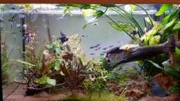 Video Territoriale Skalare von Julia S. (r2rmgSAYZLo)