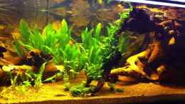 Video Aquarium Komplett 960 L von matthiasm (rAxf7Ljmpyo)