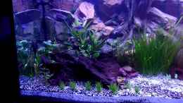 Video Erster Versuch von raubsau (rErqi0vq2Wc)