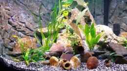 Video Steffen und Felix von Steffen und Felix (rIwxcNHMiu8)