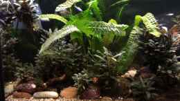 Video 15.10.2020 nach dem großen gärtnern von herkla (rR30jeMvCKs)