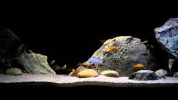 Video Malawi-840 Liter von freezer2510 (rTtFc7aFXuA)