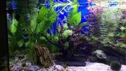 Video 13.01.16 - Video von einrichtungsbeispiele.de von .Andreas. (rcQSNS9kTns)