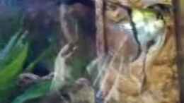 Video Video von Einrichtungsbeispiele.de von Horst Kofler (rgTugt9jDOY)