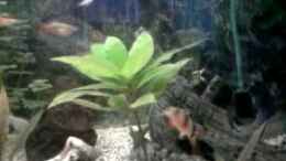 Video Mein Becken von Sebastian Napiersky (rh-sXaAofrM)