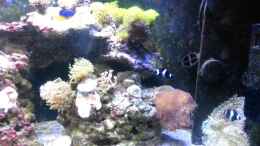 Video Tagesablauf in 90 Sec von Tim1979 (rlN54CwG4qA)