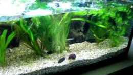 Video Video von Einrichtungsbeispiele.de von schnitzler (rrdQnUZ62Qg)