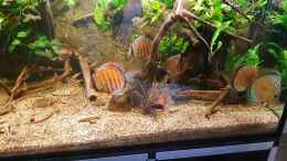 Video Fütterung der Raubtiere  von ravaka (rxvk4vqbBS0)