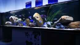 Video mal was aktuelles von RalfB (sXuc2xtsRLs)