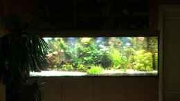 Video mein Fernseher von H.T. (siFbbUbMSyI)