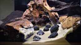 Video Konstruktion eines Paludariums von Junglist (sotgtNkTZxY)