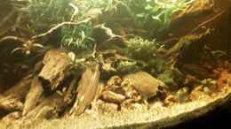 Video Gesamtübersicht 08.10.2017 von ehemaliger User (t2KX8XfnIcM)