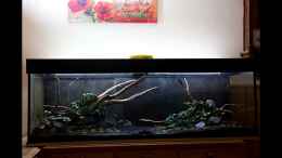 Video Spirit of Asia 2.0 - Zeitraffer von -Der Österreicher- (tJH_tdZCRyQ)