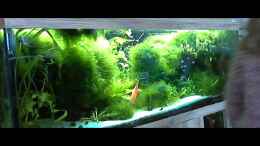 Video 31.01.2016 von signo (tZZQopw9ufQ)