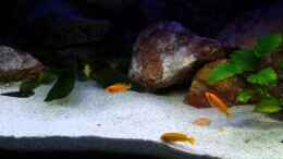 Video Video von Einrichtungsbeispiele.de von Brownson (tbIZBKvxeY4)