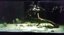 Video Leopoldi BD/Henlei    von Bernd N. (tdxAhZ71wCw)