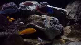 Video Malawi Rock 2017 von Mel (tfZ1N_4kOzQ)