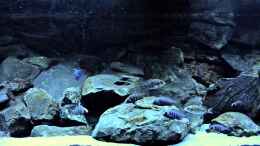 Video Basaltic World von ClioB von ClioB (thZWF3tjrtM)