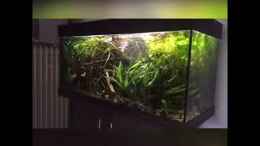 Video Gesamtansicht von NaMo (trdO8epsqYc)