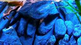 Video neu von Marco O. (u2bM12EX7gQ)