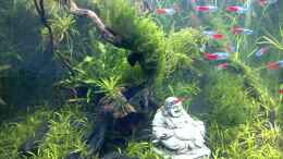 Video Video von Einrichtungsbeispiele.de von ehemaliger User (u9WStnlGnG0)