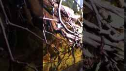 Video von oben von NaMo (uLWSN6TJxFA)