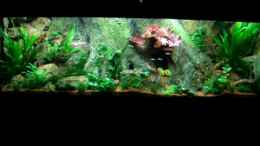 Video Amazonas von D (uP7FEGb4OoY)