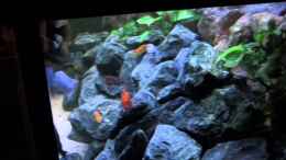 Video  von Uwe Heit (uR7CFaydjrY)