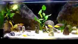 Video ein Becken in der Wand von Chris_R. (uYPyE3_r6Vs)