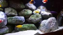 Video Malawis and Stones von ehemaliger User (uuuSroOh6tI)