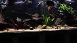 Video Ein Versuch mit Grün von Blackwater (v7qS7AJwuvY)