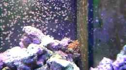 Video nach 8 Wochen von Daniel Winkler (v8EaW7WFUlg)