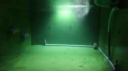 Video Erster Funktionstest von kellerkind (vEtd0hhipMo)