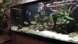 Video Impressionen von Fichte (vH9KfpikFBk)