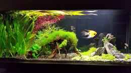 Video Video von Einrichtungsbeispiele.de von Ichigo (vazlqx1GGHs)