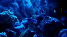 Video Mondlicht von MF80 (vgBUR7eMHGw)