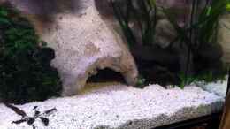 Video Yello von Yejo (vkx3OZVi87E)