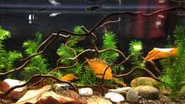 Video 27.10.2019 Beleuchtung von 100% auf 80% reduziert% von herkla (vlMQVxISaqM)