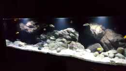 Video  von Florian Bandhauer (vshnOuuqV24)