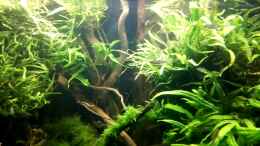 Video ??bersicht von ehemaliger User (vzQZogrEcMA)