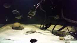 Video Video von einrichtungsbeispiele.de von Bernd N. (w9_XwPuE-U4)