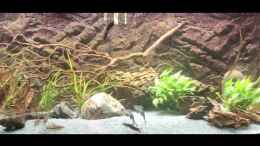 Video 450l Asienbecken von Vulcana von Vulcana (wBK-AO79NYE)