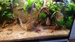 Video 26.4.20 - Tag 2 ohne die Skalare  von ravaka (wOPau9Lgw-g)