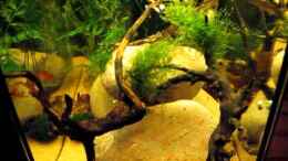 Video ~ NEW LAKE MATANO ~ von ehemaliger User (wU6oUR0SIbs)