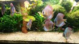 Video Video von Einrichtungsbeispiele.de von master-marko (wYckyStg0EY)