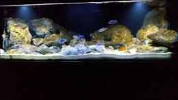 Video 720L nach dem füttern von StevenS (wgF6AH3eMfM)