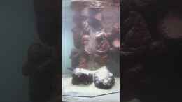 Video Sandfall von Matze3110 (x96gBWtAxKk)